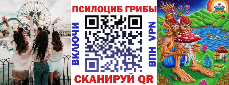 Купить где  Ардон  Псилоцибиновые грибы Magic Shrooms 